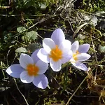 Alojamento de Turismo Rural Mazurski Staw Gołdap