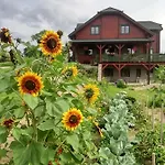 Mazurski Staw Farm stay
