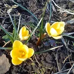 Alojamento de Turismo Rural Mazurski Staw *