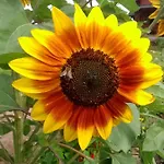 Farm stay Mazurski Staw Goldap