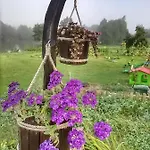 Mazurski Staw * Gołdap