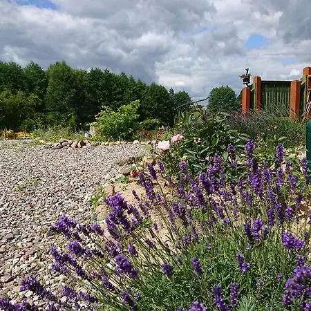 Mazurski Staw * Gołdap