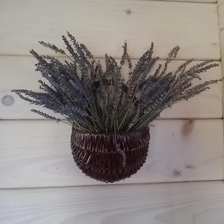 Mazurski Staw * Gołdap