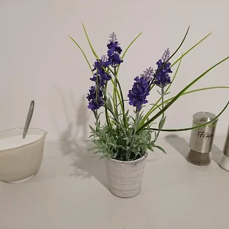 Bauernhof Mazurski Staw *