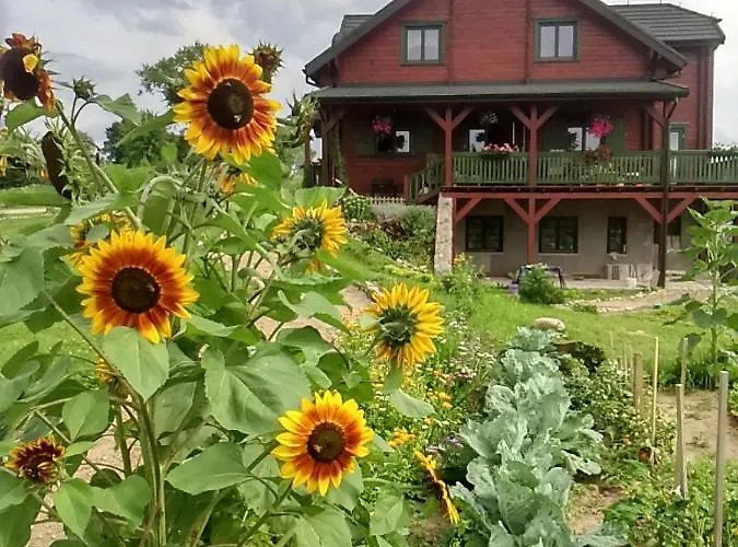 Mazurski Staw Gospodarstwo agroturystyczne